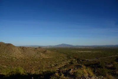 DSC_1853 (Large).JPG